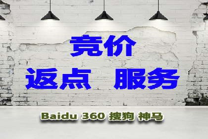 解析SEM代运营托管公司在市场竞争中的角色